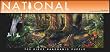 700 Piece National Parks Long Shot-Muir Woods National Monument, CA