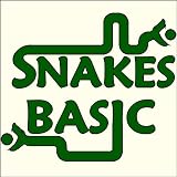 Snakes Basic
