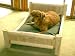 Log Dog Panel Bed Xlarge