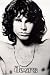 Jim Morrison - The Doors Fabric Poster Print, 30x40 Fabric Poster Print, 29x43