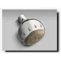 Moen 21025 Parts & Accessories Showerhead Chrome