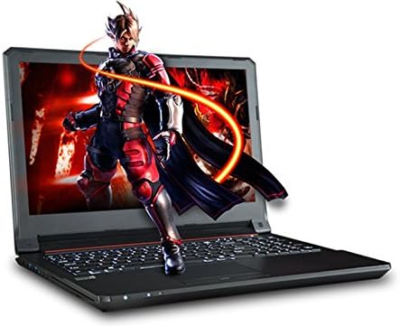 XOTIC Sager NP7255 (Clevo N155RD) Intel Skylake Core i7-6700HQ 250GB SSD + 1TB 7200RPM HDD 16GB DDR3 GTX960m (2GB) 15.6" Full HD Windows 10 Gaming Laptop Computer