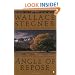 Angle of Repose (Contemporary American Fiction)