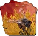 Honey Bee on Flower Leather Coasters Gift Set, Ref:IBE-1C