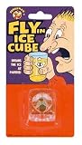 Fly in Ice Cube