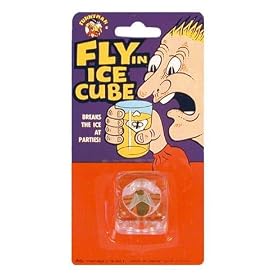 Fly in Ice Cube