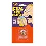 Fly in Ice Cube
