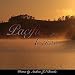 Que camino en Descargas MP3 con el nombre: 51b8%2B-MDOWL._SL75_