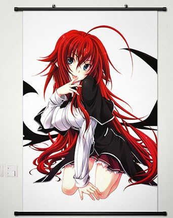 Home Decor High School DXD New Cosplay Wall Scroll Poster Rias Gremory 23.6 X 35.4 Inches- 064
