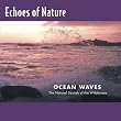 Echoes of Nature: Ocean Waves
