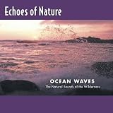 Echoes of Nature: Ocean Waves
