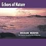Echoes of Nature: Ocean Waves