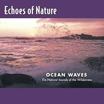 Echoes of Nature: Ocean Waves