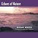 Echoes of Nature: Ocean Waves