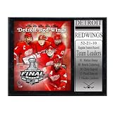 Detroit Red Wings stanley cup 12x15 StatIstic Plaque