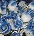 84 Silk Rose Flowers w/Raindrops - Wedding Flowers - Bridal/Floral - White/Royal Blue