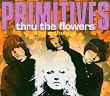 Thru the Flowers-Anthology