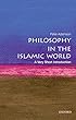 Philosophy in the Islamic World: A Very Short Introduction (Very Short Introductions)