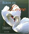 Birds in Love: The Secret Courting & Mating Rituals of Extraordinary Birds