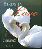 Birds in Love: The Secret Courting & Mating Rituals of Extraordinary Birds