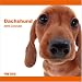   - Dachshund 2009 Wall 12''x12'' Calendar by THE DOG Artlist Collection