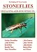 Search : Fly Fishing - Imitating Stoneflies
