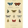 Butterfly People: An American Encounter with the B&hellip by William R. Leach