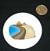 3 button / pin printed with africa, water, egypt, ancient, tomb, middle east, memorial, wonders, old, polyhedron, civilization, pyramid, sand