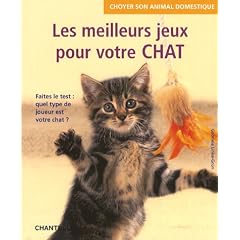 Les meilleurs jeux pour votre chat
