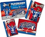 Eigenschaften City-Press Vertriebs GmbH / DEL Playercards 2007 / 2008 - Adler Mannheim Meisterset