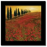 Poppies Steve Thoms Italian Tuscan Decor Framed Print