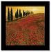 Poppies Steve Thoms Italian Tuscan Decor Framed Print