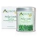Aurorae 6.8 oz Eucalyptus Scented Soy Aromatherapy Candle
