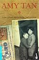 The Hundred Secret Senses (Vintage Contemporaries)