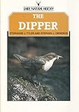 The dipper