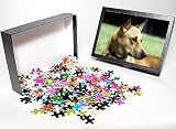 Photo Jigsaw Puzzle of dog-canaan dog from Animal Photography
