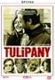 Tulipany