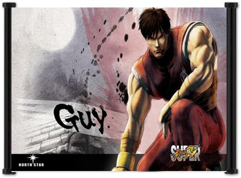 Super Street Fighter 4 Game Guy Fabric Wall Scroll Poster (21x16) Inches