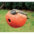Portly Robin Birdhouse