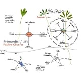 Primordial Lift