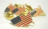Club Pack of 12 American Flag United States of America Pins #41917