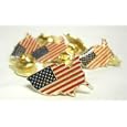 Club Pack of 12 American Flag United States of America Pins #41917