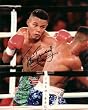 Tito Trinidad Autographed Boxing 8x10 Photo