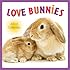 Love Bunnies 2015 Wall Calendar