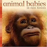 Image of Animal Babies in Rain Forests