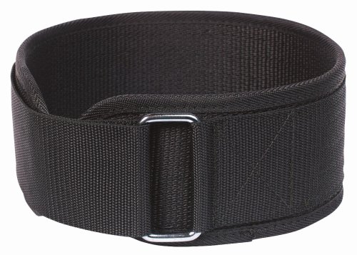 Altus Athletic 4-Inch Pro Web Lifting Belt (Medium)