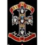 (24x36) Guns N Roses Appetite for Destruction 80s Music Poster Print