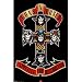 (24x36) Guns N Roses Appetite for Destruction 80s Music Poster Print