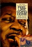 Feel like going home : portraits in blues & rock'n'roll