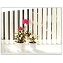 STRIPE VERTICAL BLINDS * MANY SIZES BETWEEN 90cm t&hellip by Blinds & Curtains Megastore